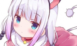 动漫画,探寻动画世界的奇幻旅程