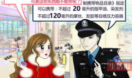 女警 漫画,漫画中的正义守护者